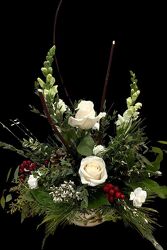 Warm Winter from Hastings Flower Co in Hastings, MN