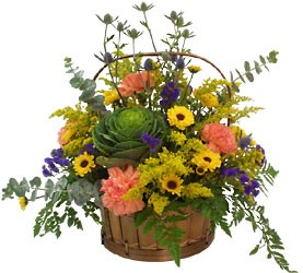 Harvest Basket Fall Mix from Hastings Flower Co in Hastings, MN