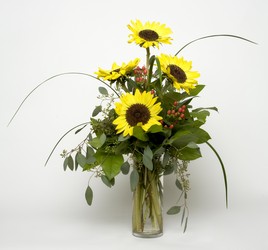 Happy Sunflower Day to You from Hastings Flower Co in Hastings, MN